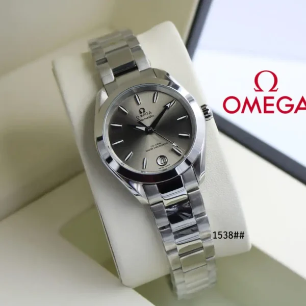 Omega Seamaster Aqua Terra Watch
